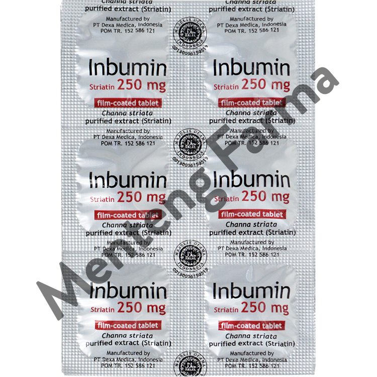 Inbumin 6 Tablet - Suplemen Kesehatan – Apotek