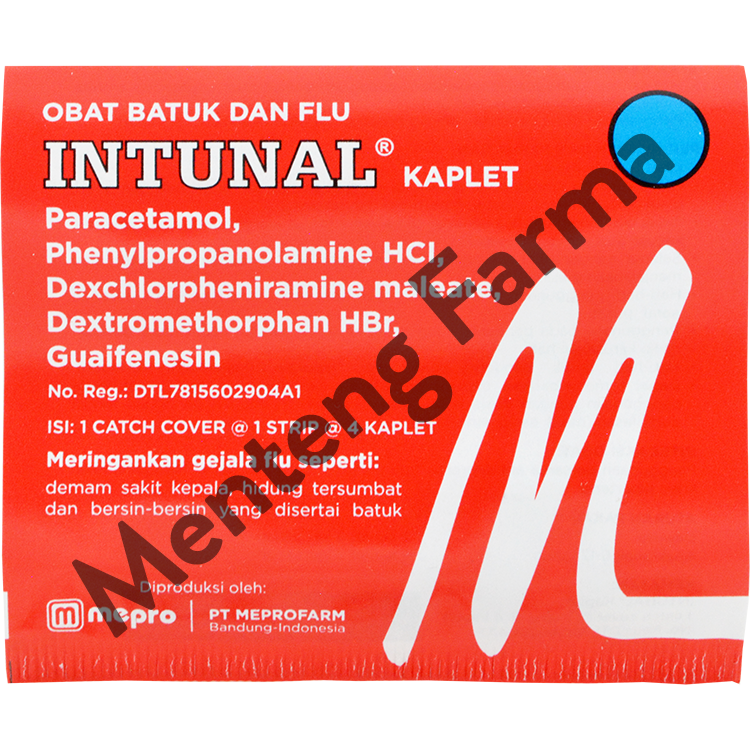 Intunal 4 Kaplet - Pereda Gejala Flu, Hidung Tersumbat, dan Bersin-ber ...
